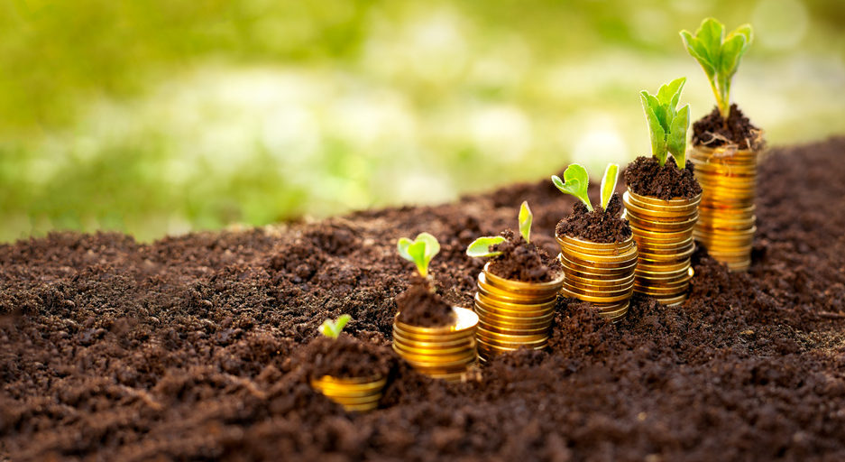 Lokaty terminowe SGB24 – internet